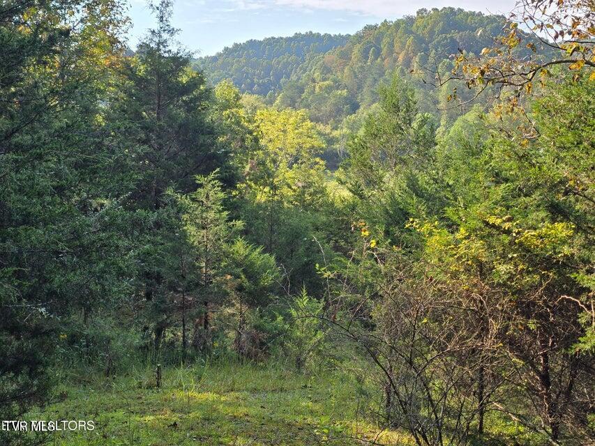 Tbd East Pumpkin Valley Road Eidson, TN 37731 - Photo 6 of 54 2