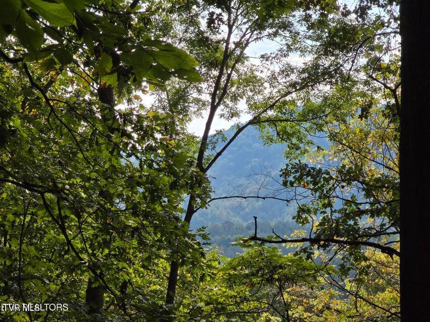 Tbd East Pumpkin Valley Road Eidson, TN 37731 - Photo 8 of 54 3