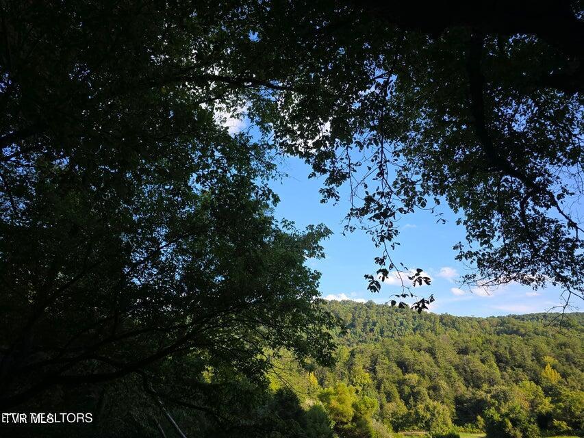 Tbd East Pumpkin Valley Road Eidson, TN 37731 - Photo 9 of 54 4