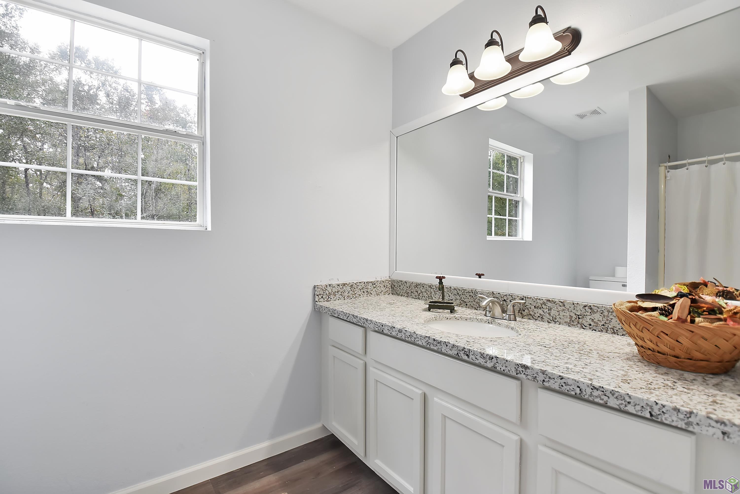 30176 Cane Market Road Walker, LA 70785 - Photo 9 of 16 Gallery Image 9