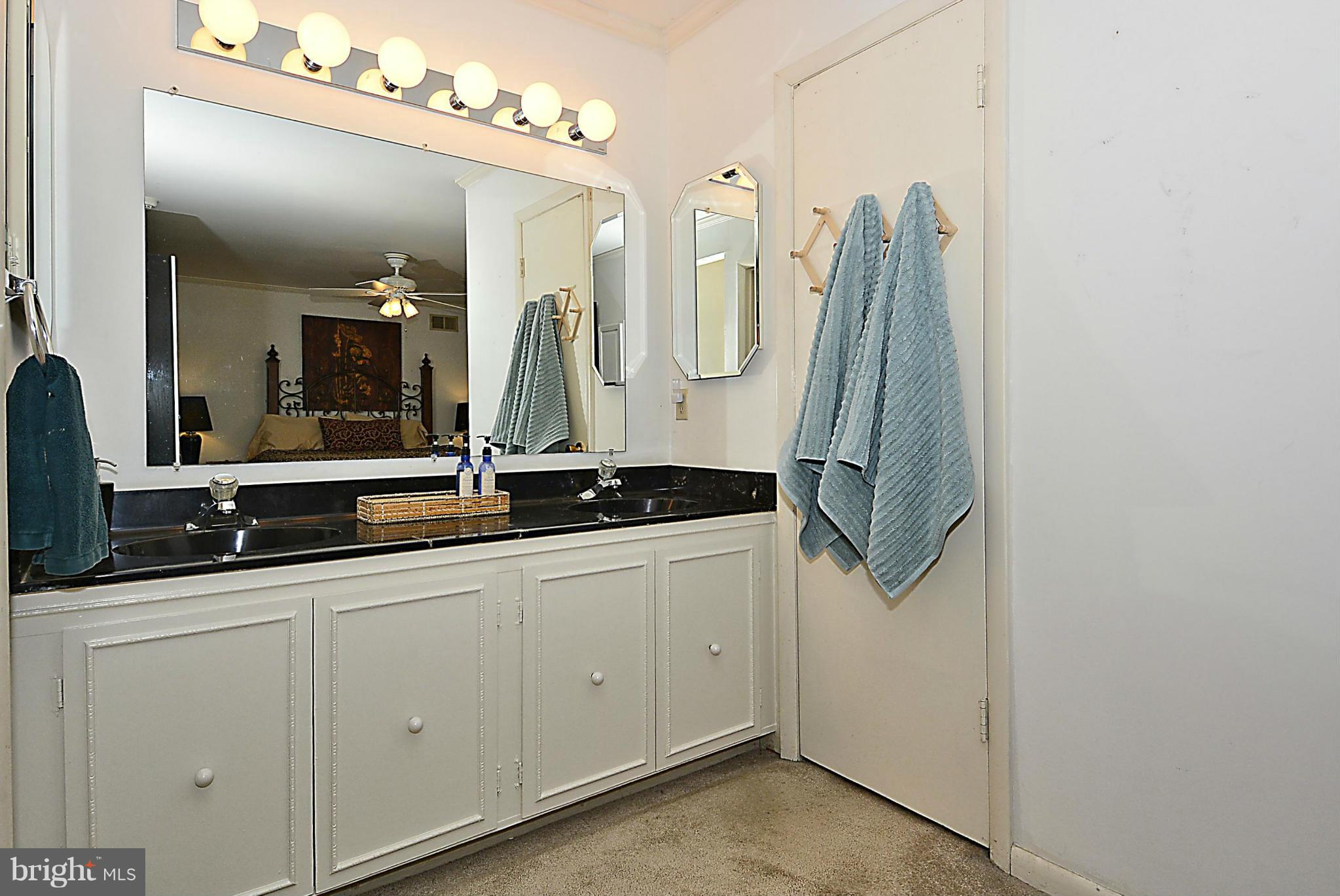 18506 Cabin Road Triangle, VA 22172 - Photo 17 of 30 EnSuite Master Bath Double Vanity Dressing Area