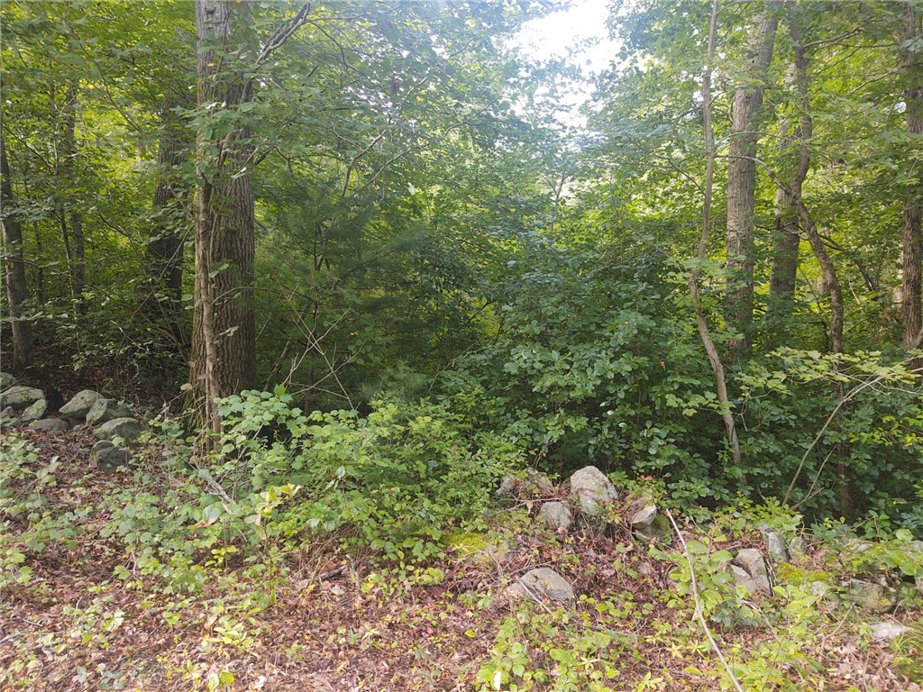 0 Winter Street Rehoboth, MA 02769 - Photo 1 of 8