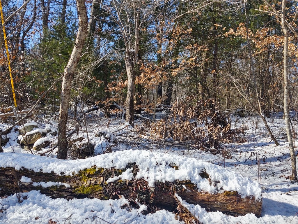 0 Winter Street Rehoboth, MA 02769 - Photo 2 of 8