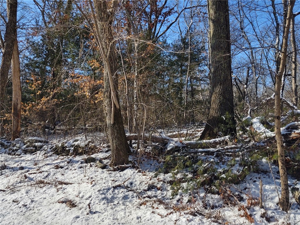 0 Winter Street Rehoboth, MA 02769 - Photo 3 of 8