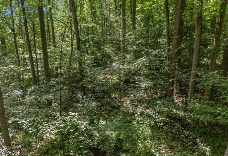 0 Sweet Hollow Road Milford, NJ 08848 - Photo 12 of 14