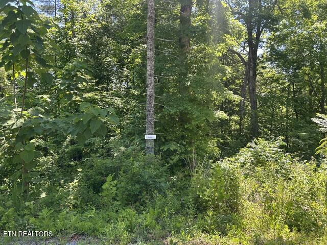 325 Beckett Ridge Road Townsend, TN 37882 - Photo 6 of 11 Lot 6-2