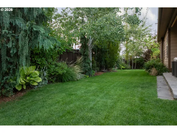 a view of a yard with a tree