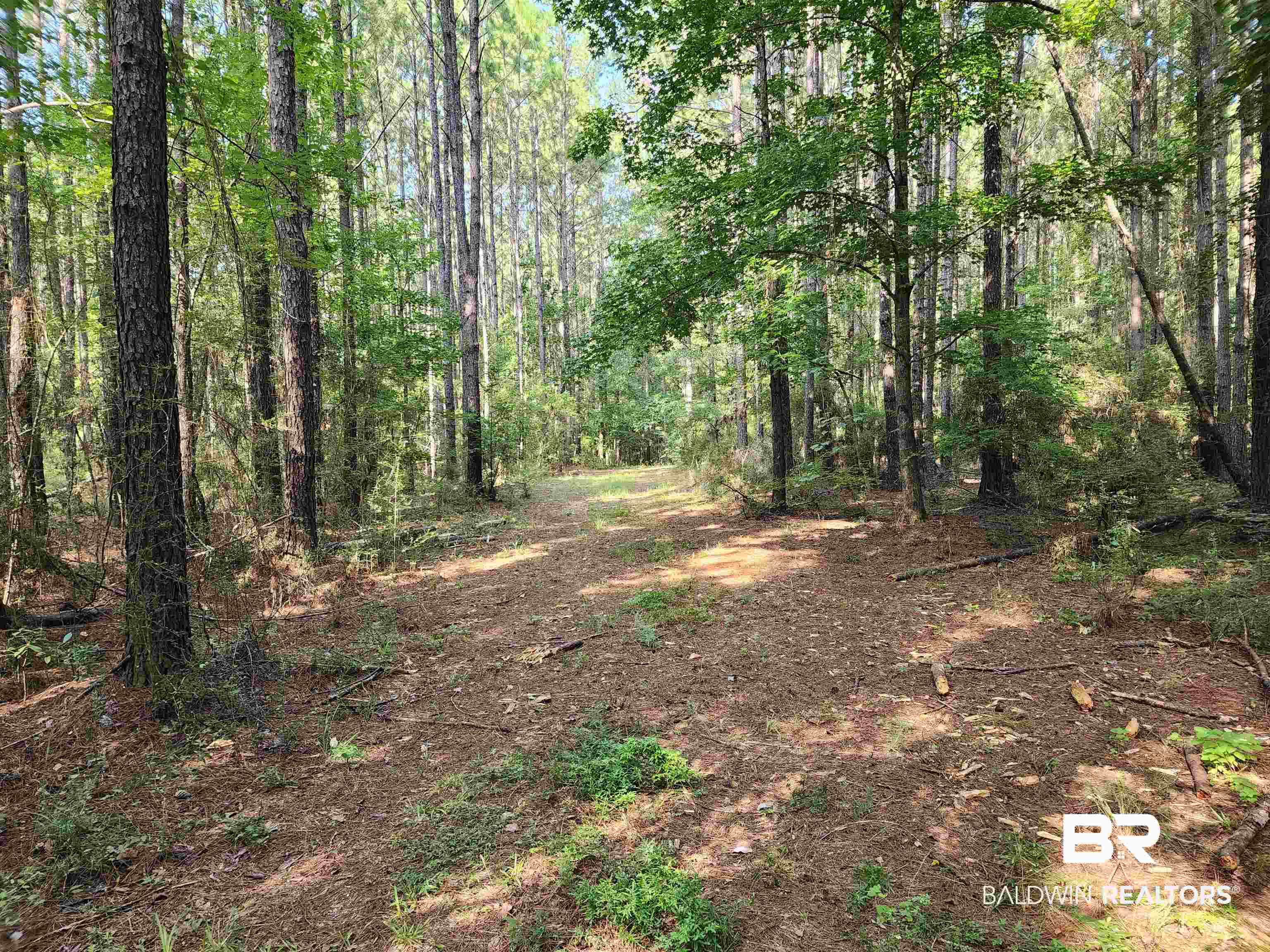0 Lowery Road Atmore, AL 36502 - Photo 4 of 28