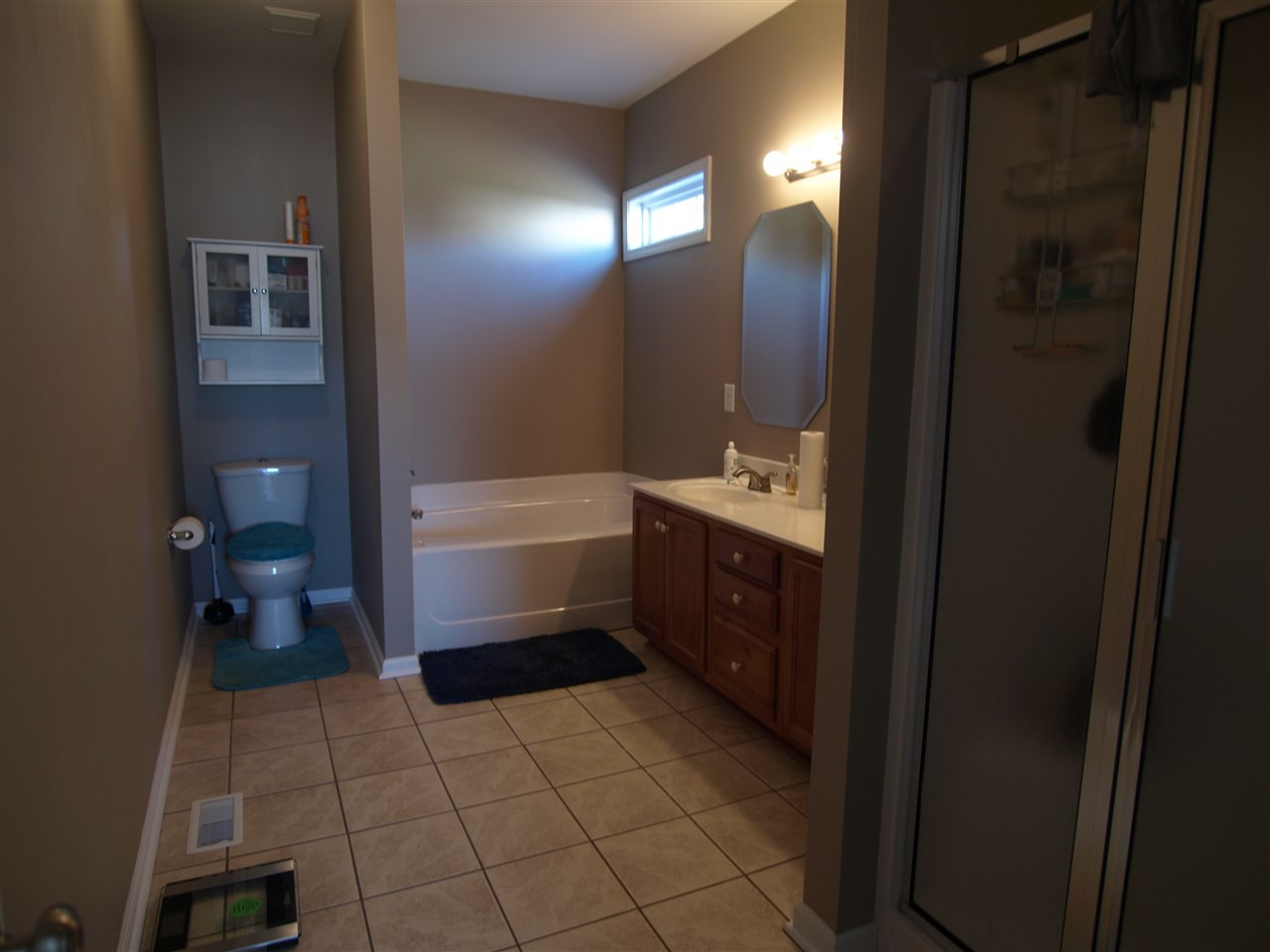 150 Glory Ridge Way Clayton, NC 27520 - Photo 10 of 17 Master Bath