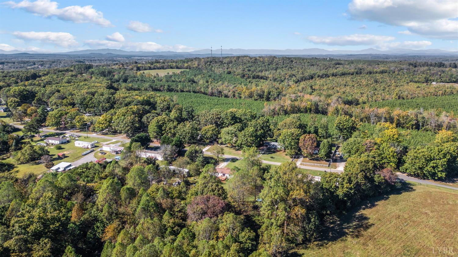 630 Eldon Road Appomattox, VA 24522 - Photo 35 of 37 a view of a city with lush green forest