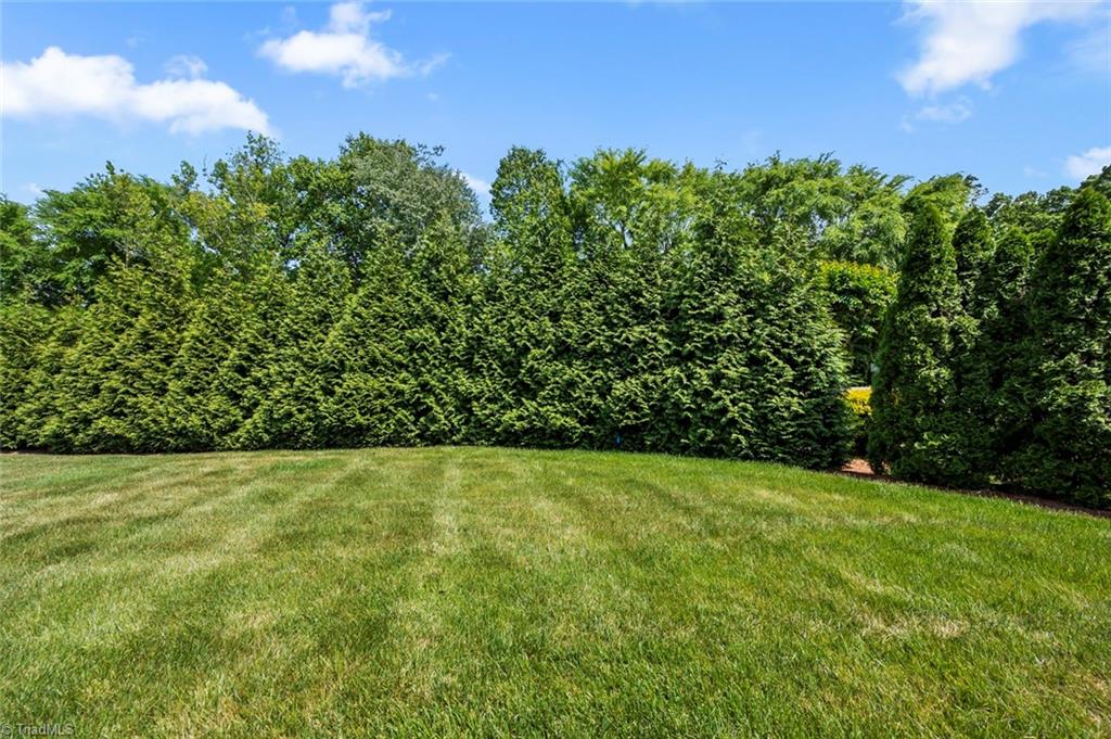 130 Salem Ridge Court Clemmons, NC 27012 - Photo 31 of 34 REAR, LARGE YARD