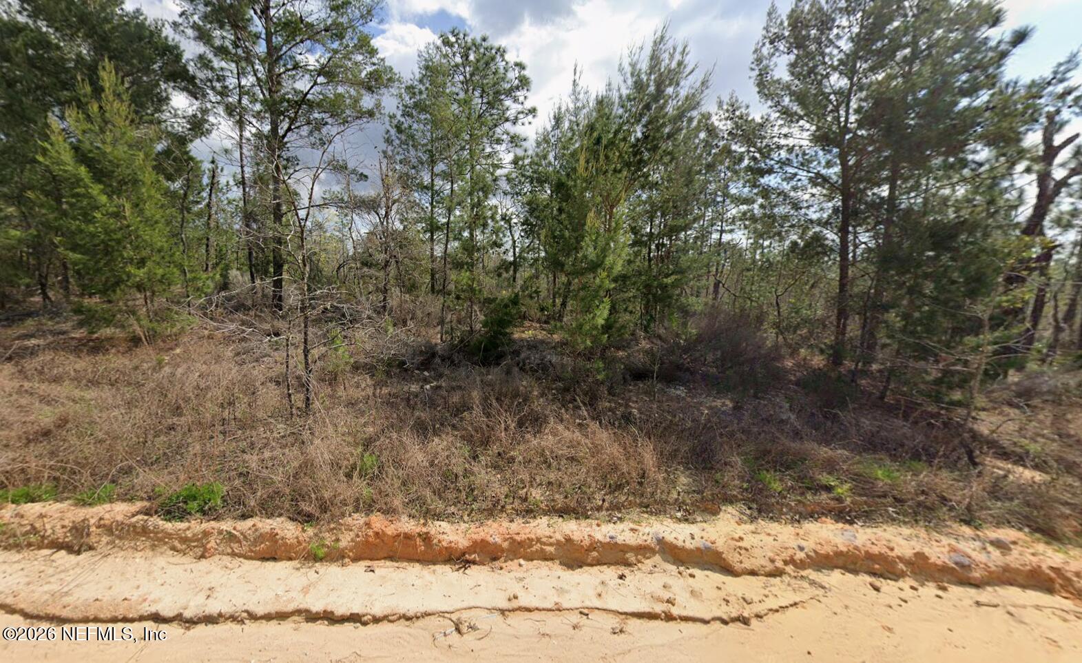 214 Akron Street Interlachen, FL 32148 - Photo 2 of 2 a view of a yard