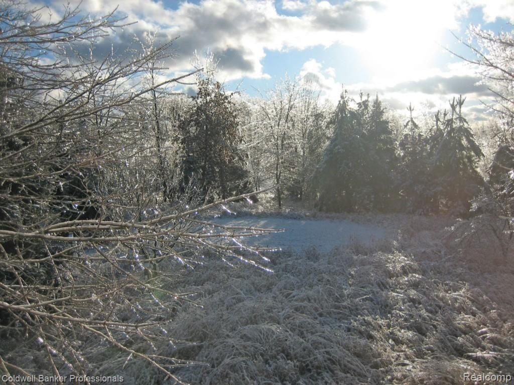 2963 Warren Road Ann Arbor, MI 48105 - Photo 53 of 57 MLS51_winter1.jpg