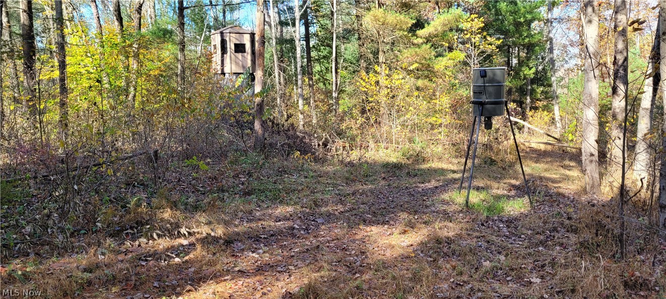 Duncan Run Road Philo, OH 43771 - Photo 19 of 32