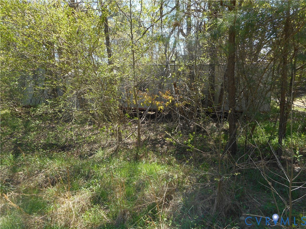 6016 Grubby Road Wilsons, VA 23894 - Photo 3 of 3