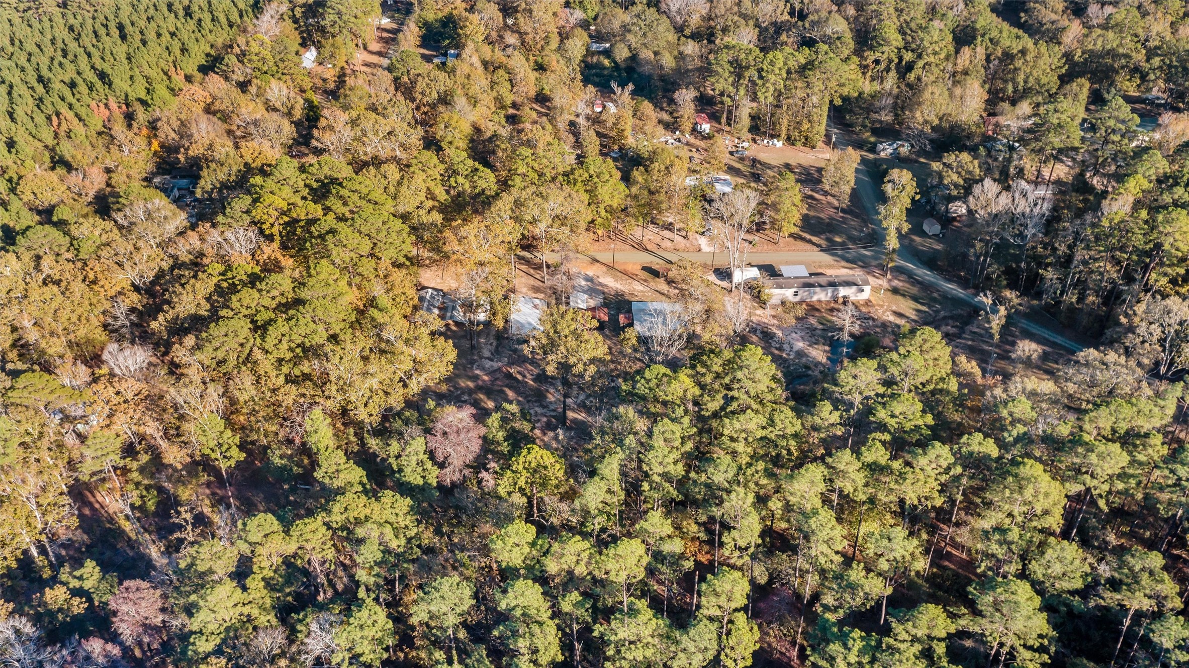 171 County Road 421 Bronson, TX 75930 - Photo 11 of 49 a view of a tree