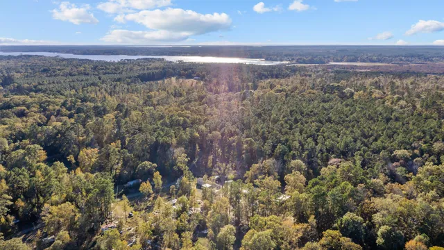 a view of a city with lush green forest