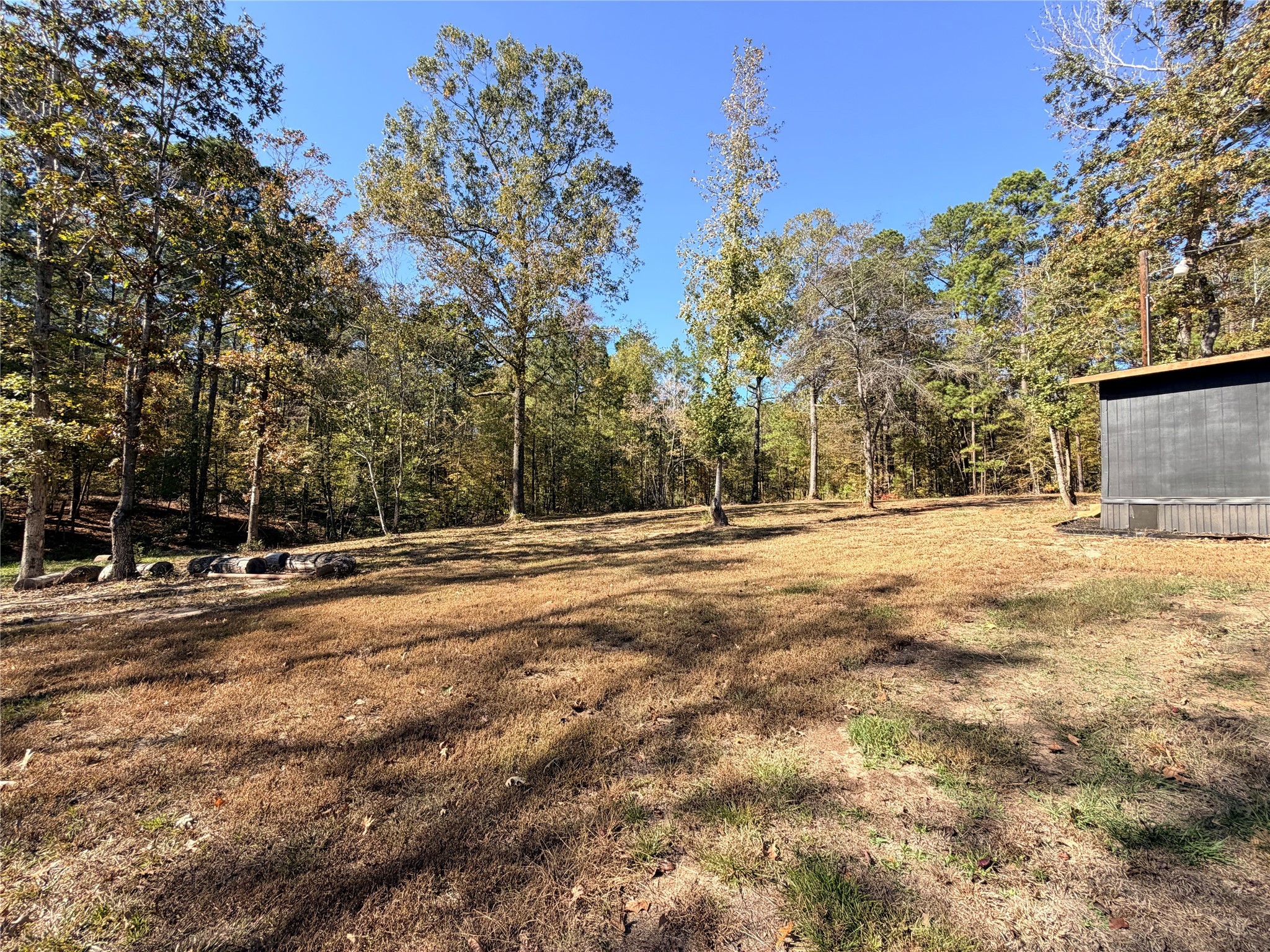 171 County Road 421 Bronson, TX 75930 - Photo 45 of 49 a view of empty space with large trees
