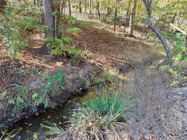 $99,000 | 171 County Road 421, Bronson, TX 75930