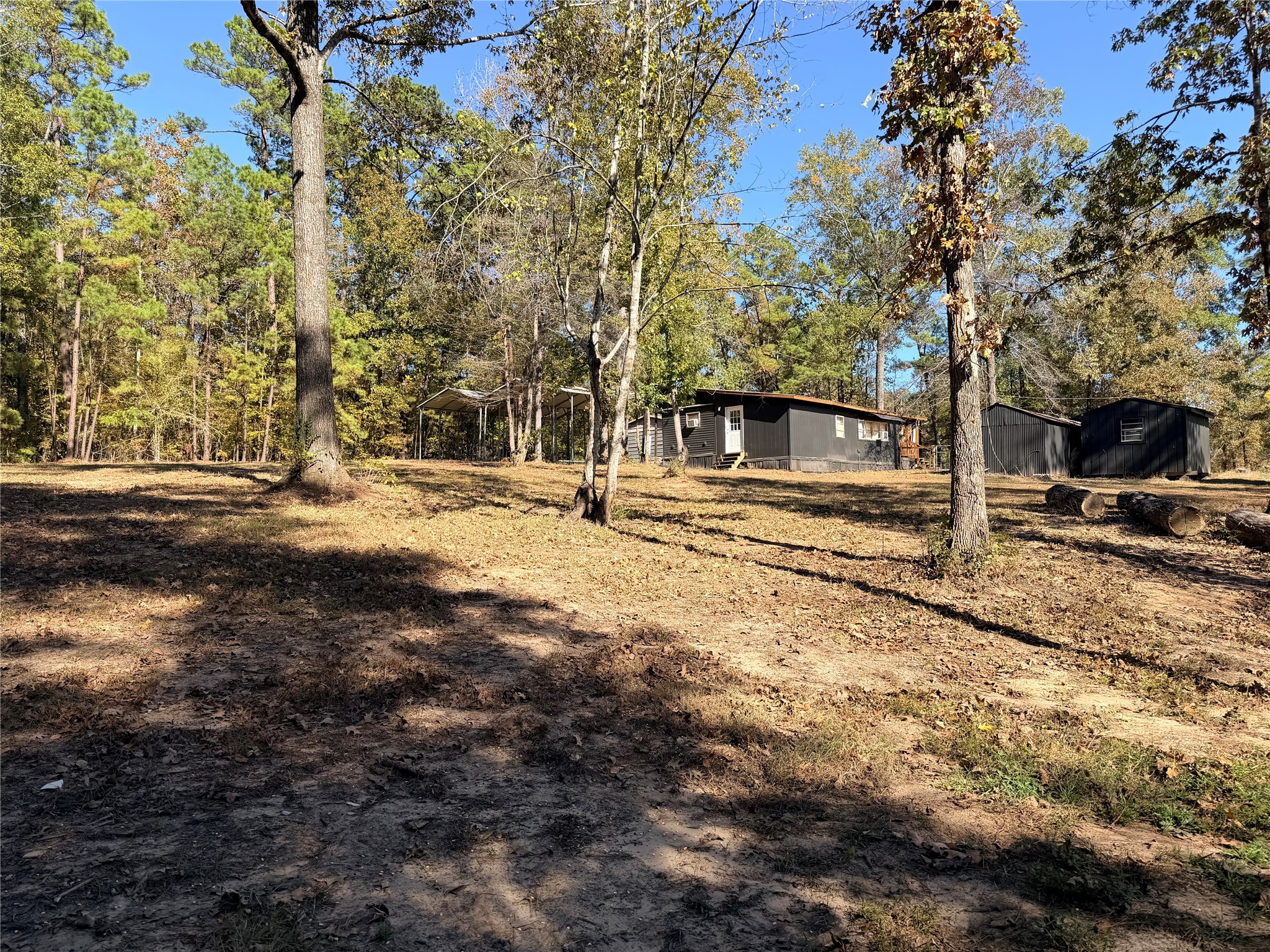 171 County Road 421 Bronson, TX 75930 - Photo 48 of 49 a view of road with large trees