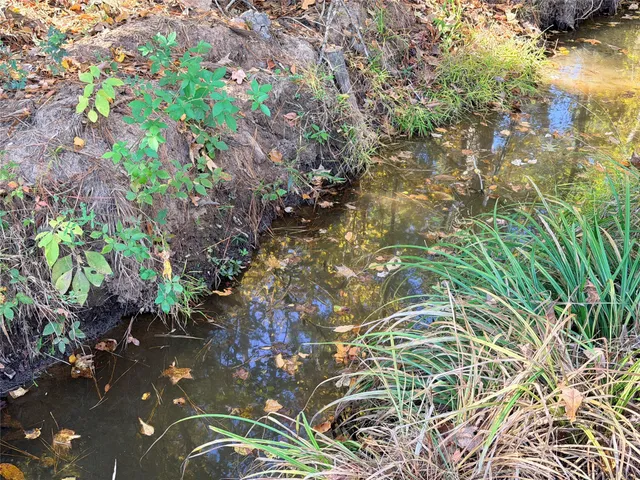 a picture of flowers