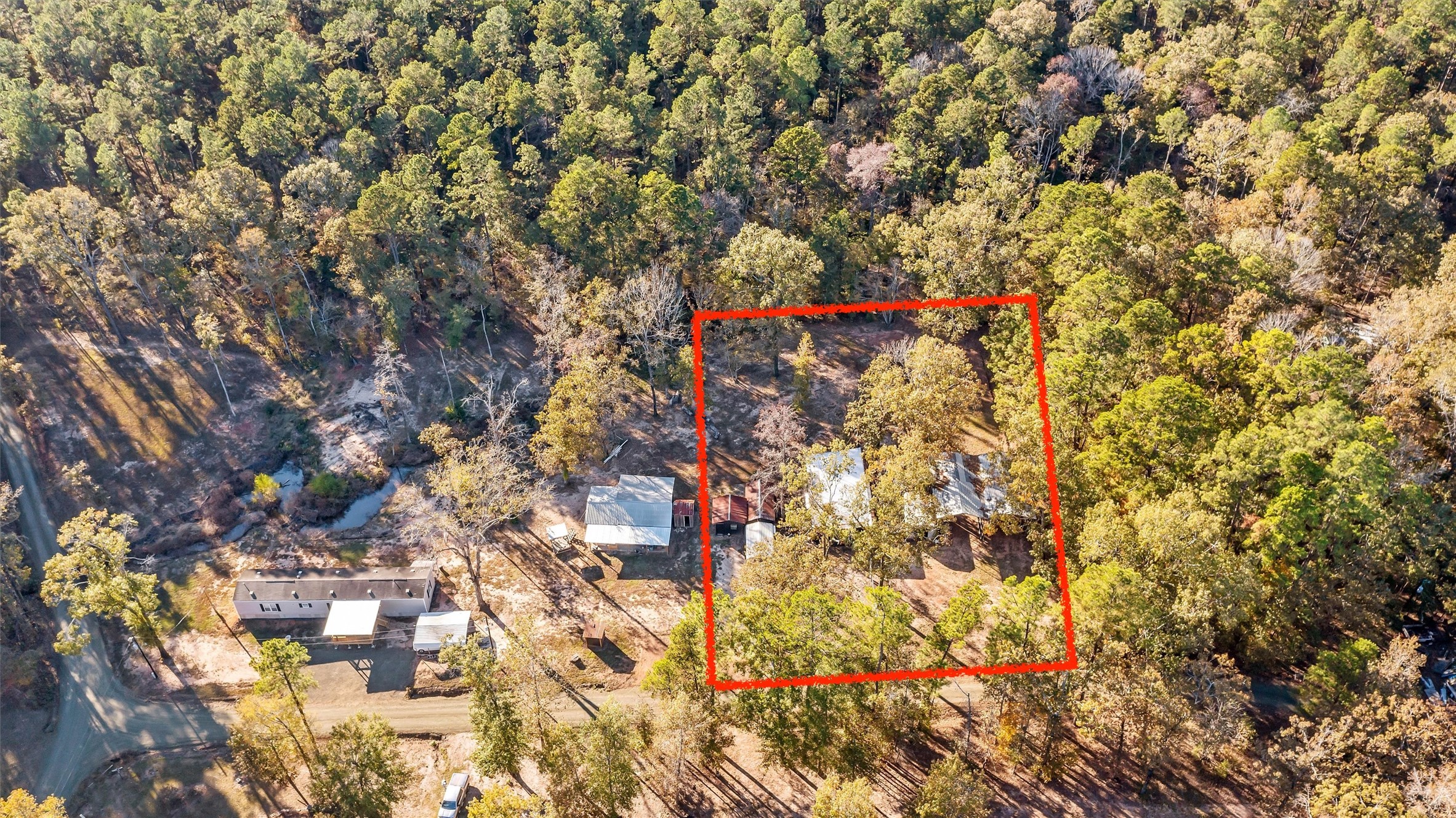 171 County Road 421 Bronson, TX 75930 - Photo 6 of 49 a picture of a tree