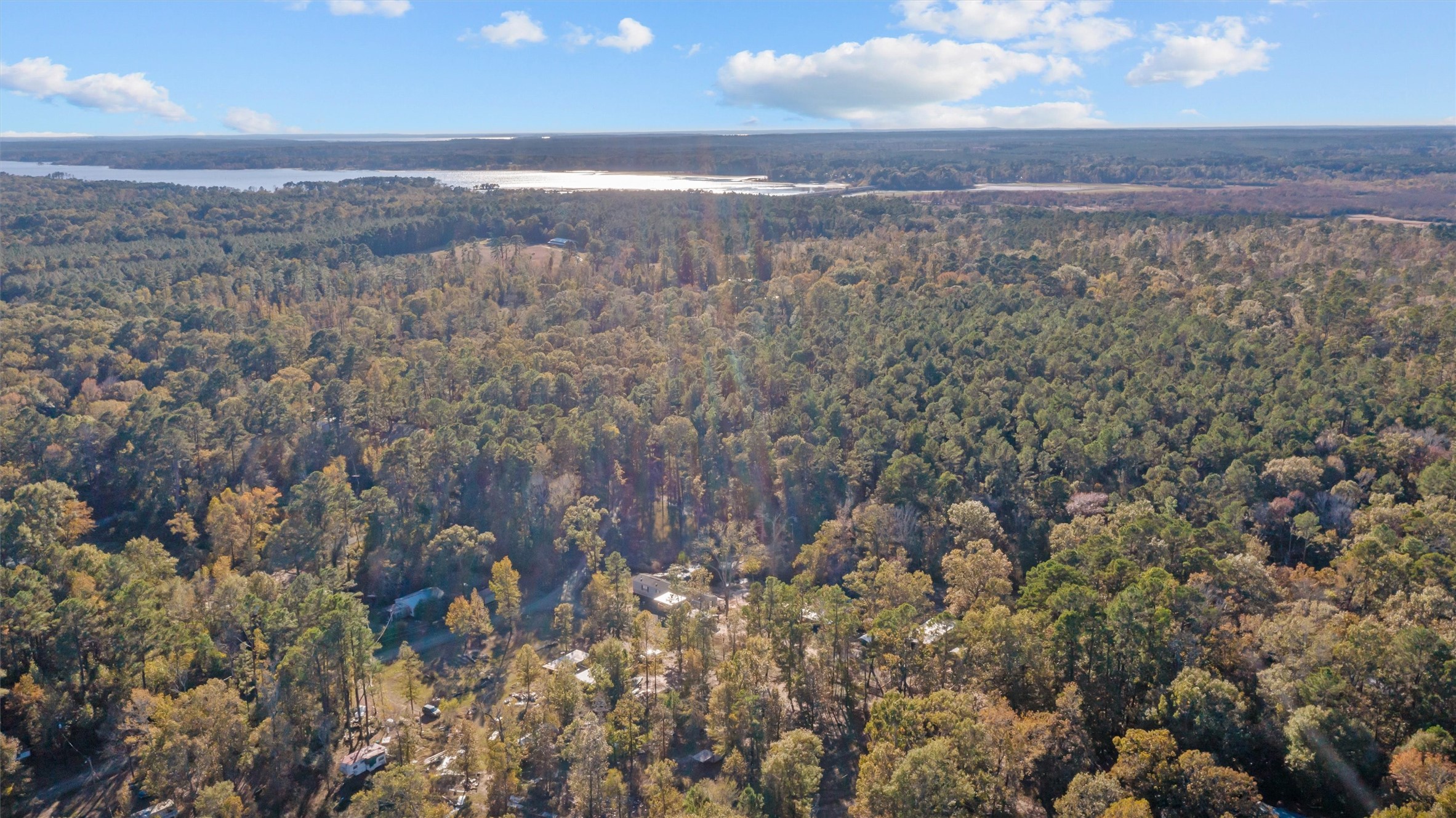 171 County Road 421 Bronson, TX 75930 - Photo 8 of 49