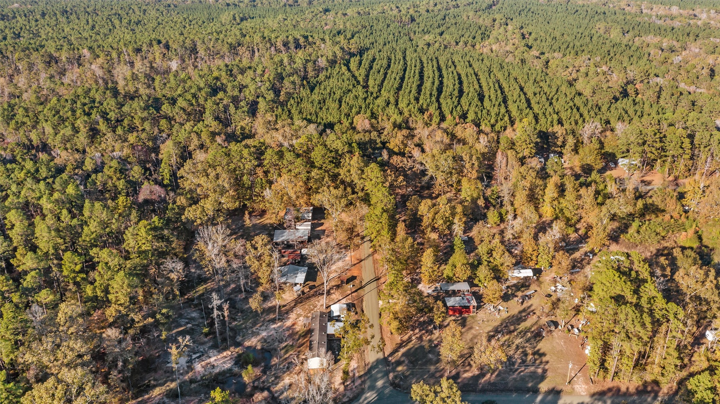 171 County Road 421 Bronson, TX 75930 - Photo 10 of 49 a view of a yard