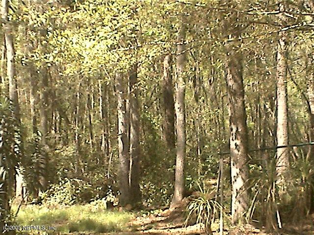 2184 Rothbury Drive Jacksonville, FL 32221 - Photo 2 of 3 a view of outdoor space