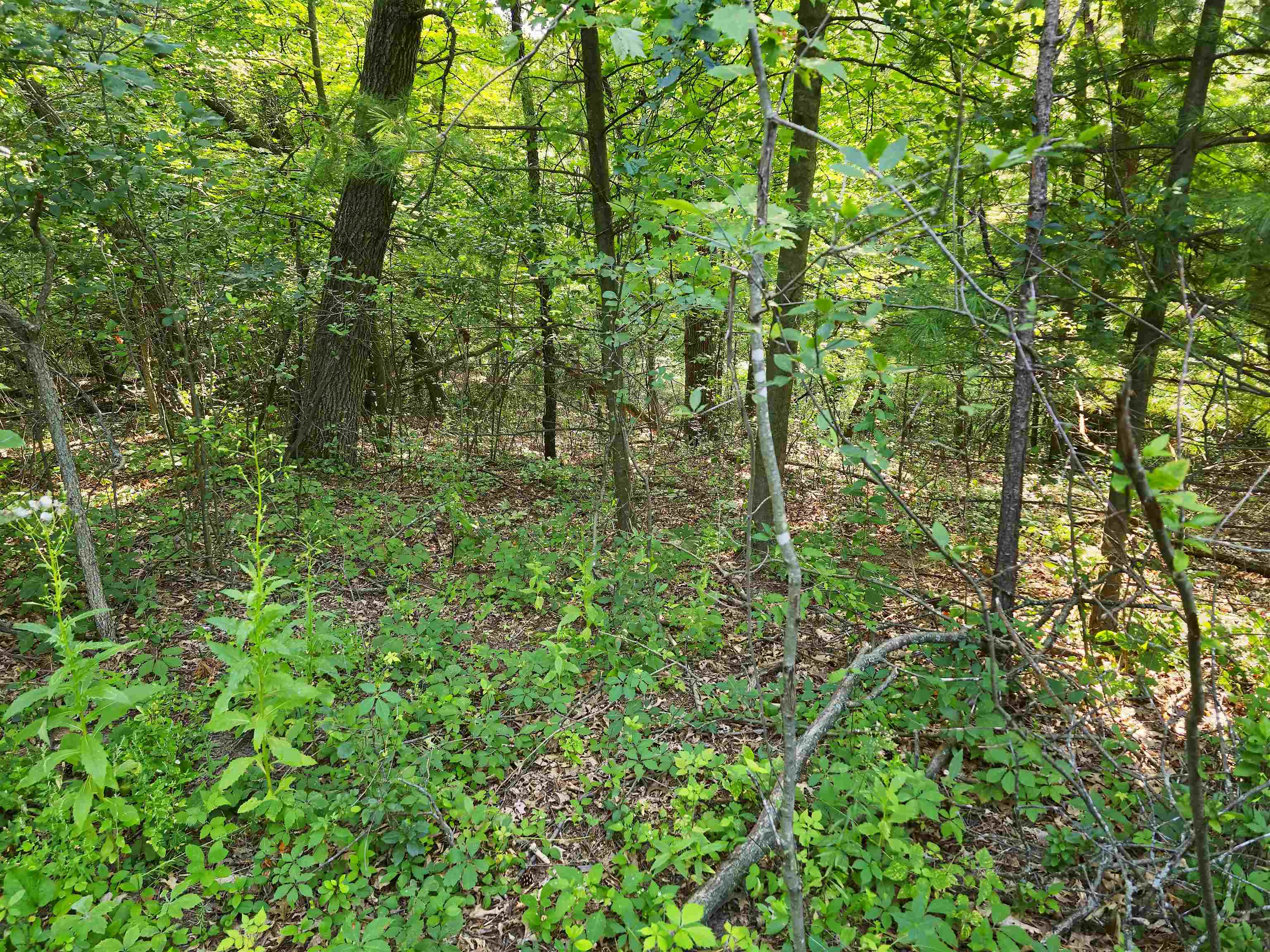 N1406 Holmnlane Road Waupaca, WI 54981 - Photo 1 of 1 Gallery Image 1