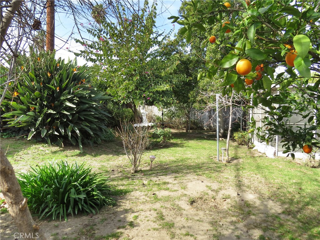 8159 Tunney Avenue Reseda, CA 91335 - Photo 30 of 33 a view of a yard with a tree