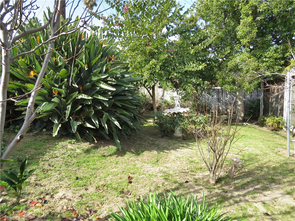 8159 Tunney Avenue Reseda, CA 91335 - Photo 31 of 33 a view of backyard of a house with a tree