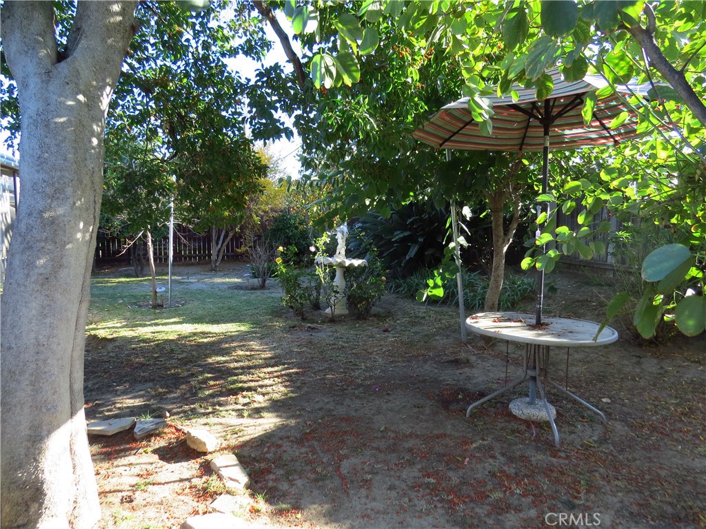 8159 Tunney Avenue Reseda, CA 91335 - Photo 33 of 33 a view of a backyard with a fountain plants and large tree
