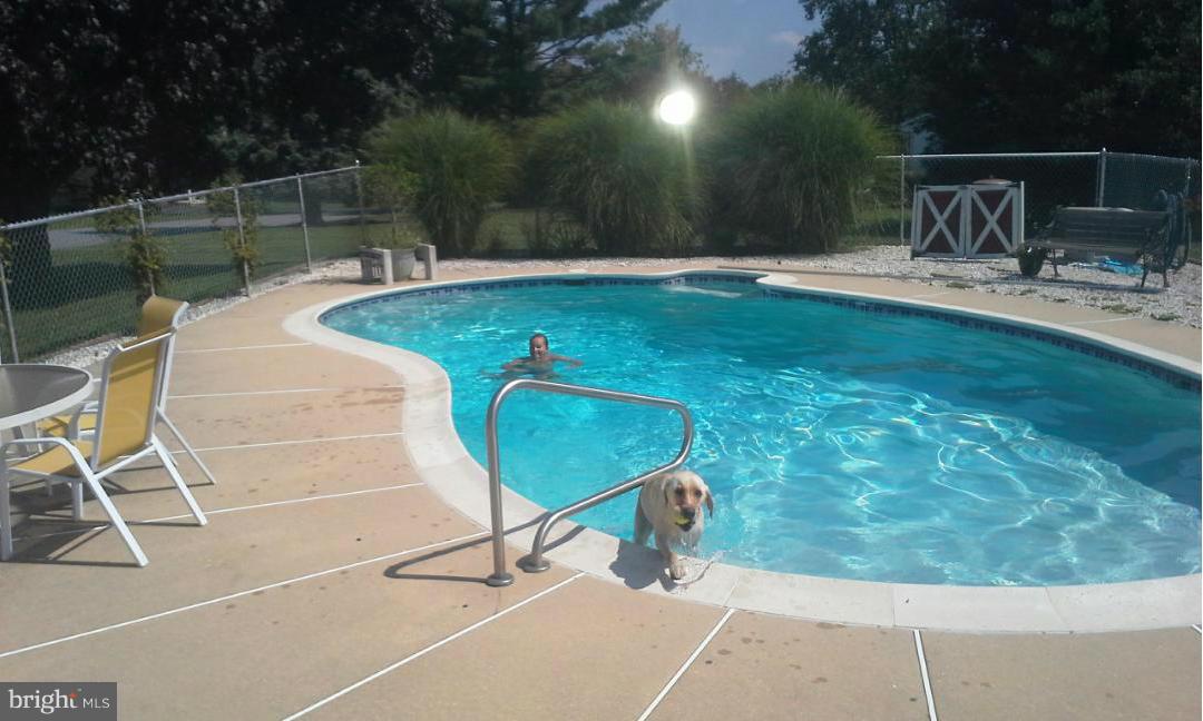 1030 Union Church Road Elkton, MD 21921 - Photo 19 of 26 Swimming Pool off 3 Season Room
