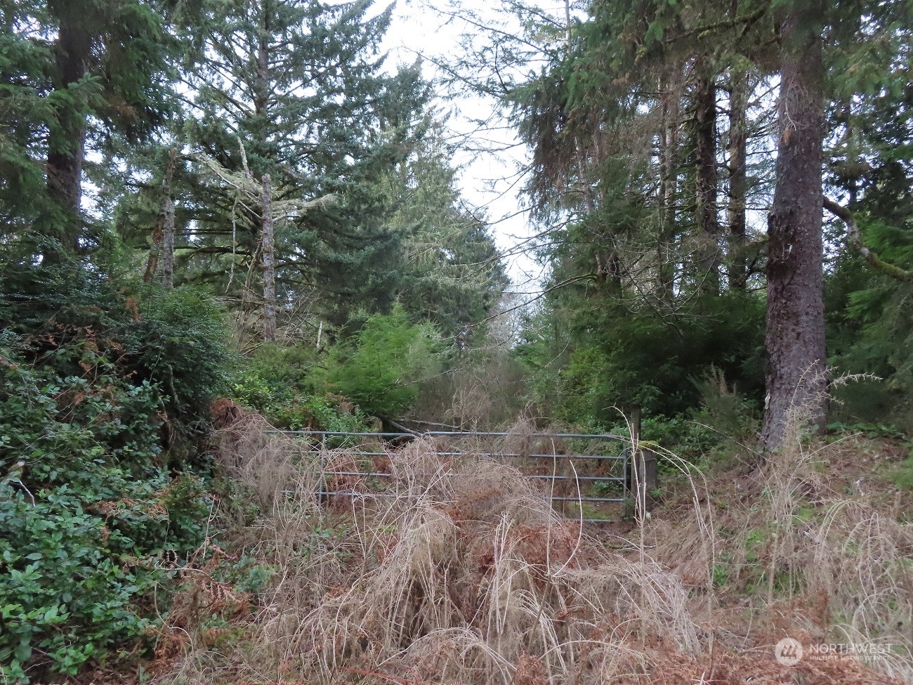 2 Sandridge Road Ocean Park, WA 98640 - Photo 11 of 26 Gallery Image 11