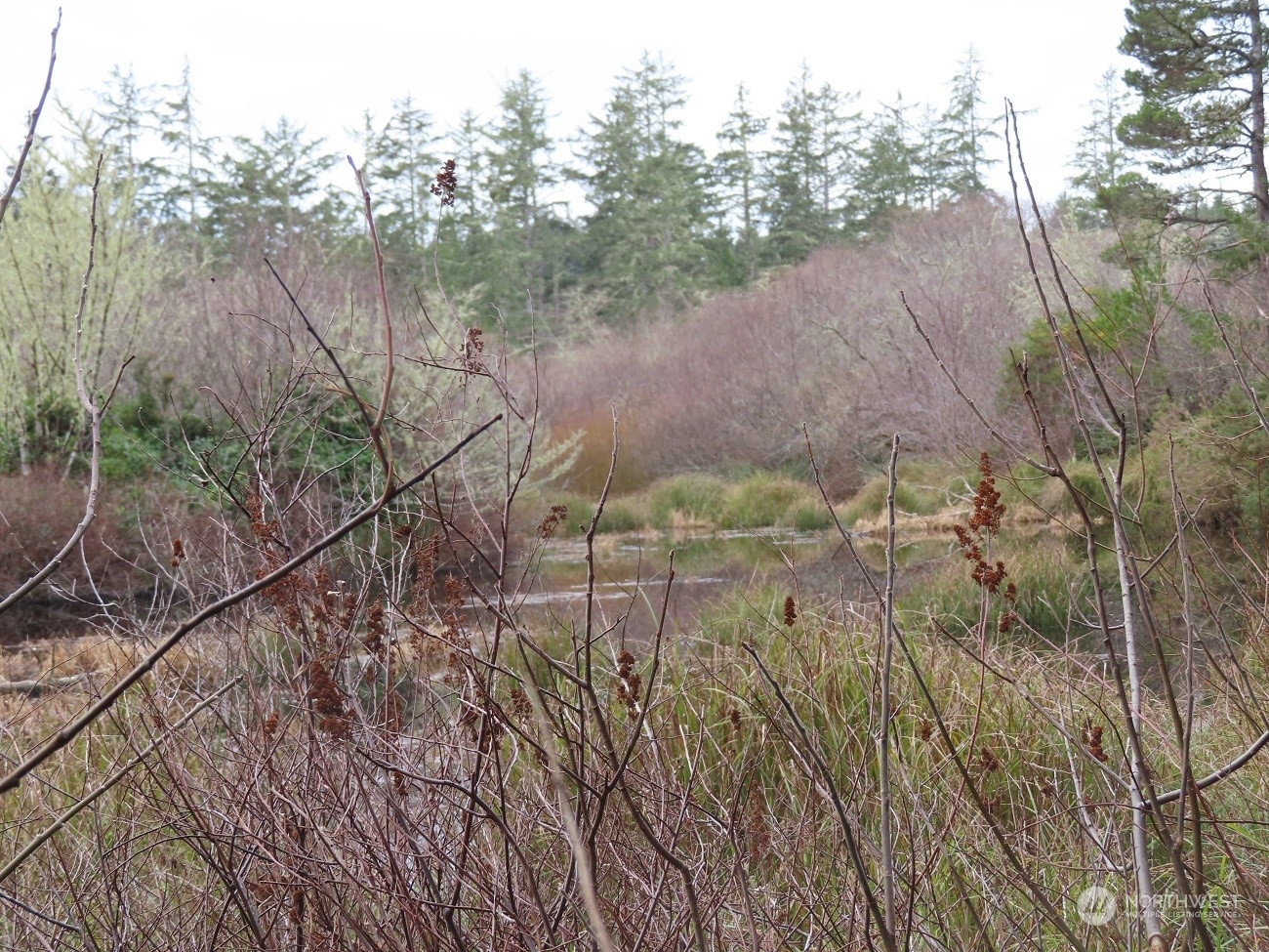 2 Sandridge Road Ocean Park, WA 98640 - Photo 13 of 26 Gallery Image 13