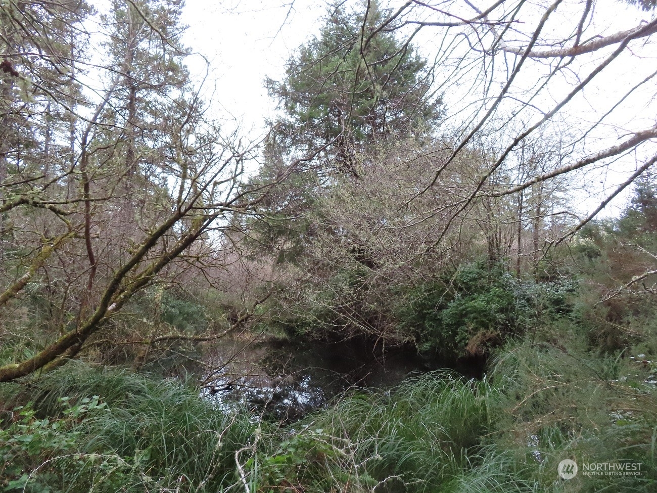2 Sandridge Road Ocean Park, WA 98640 - Photo 14 of 26 Gallery Image 14