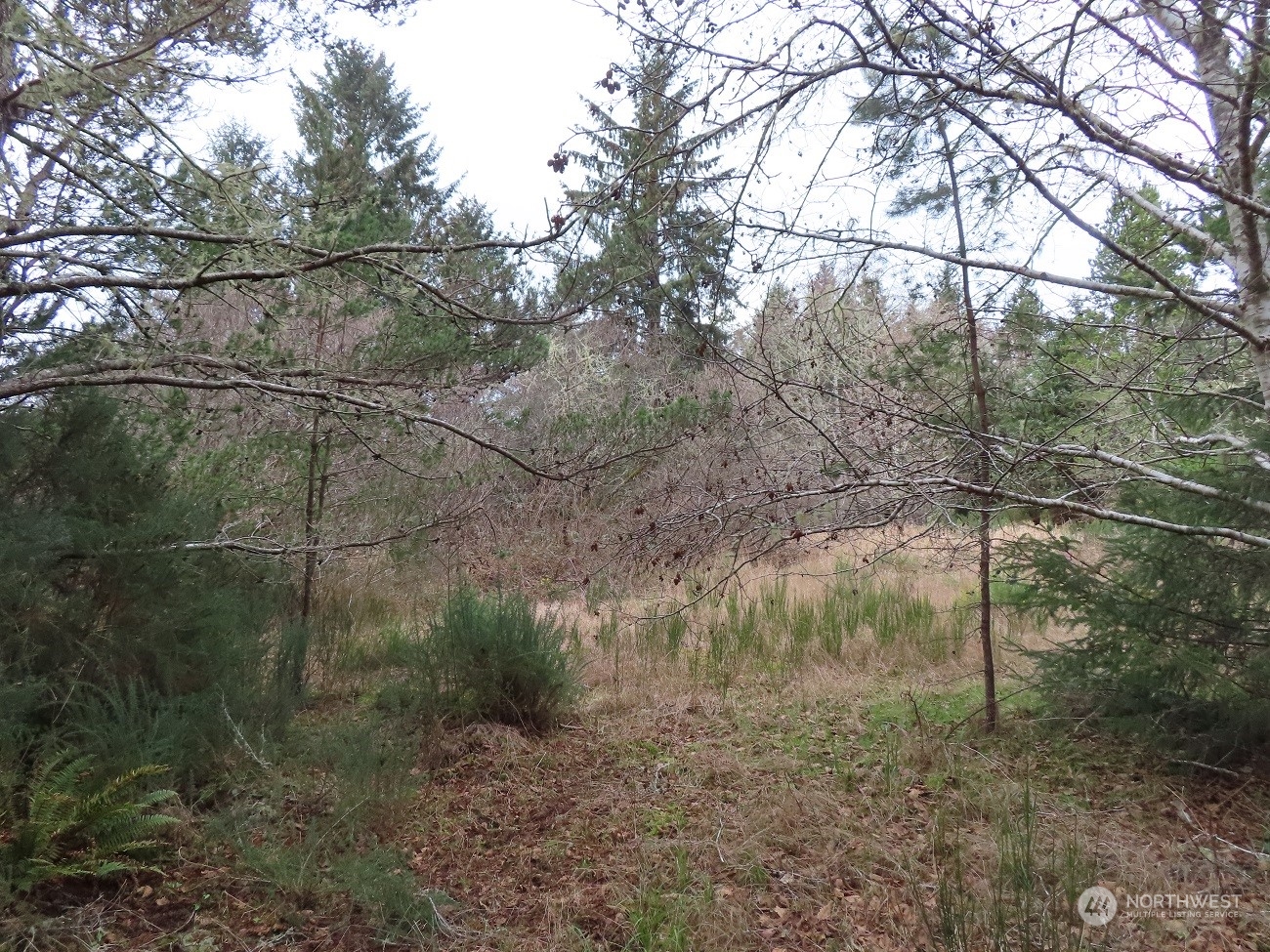 2 Sandridge Road Ocean Park, WA 98640 - Photo 15 of 26 Gallery Image 15