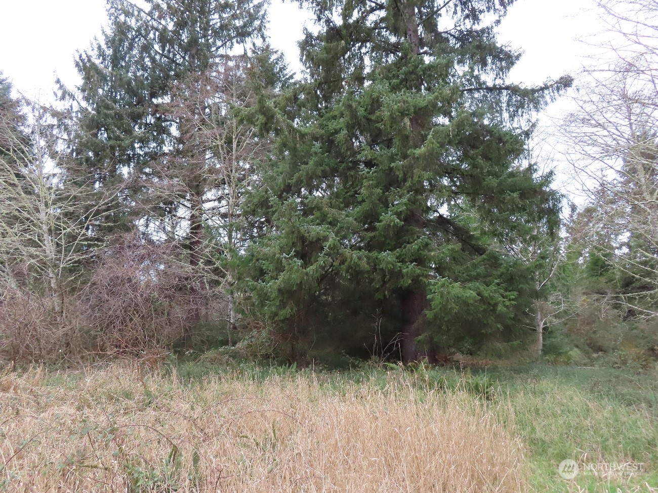 2 Sandridge Road Ocean Park, WA 98640 - Photo 18 of 26 Gallery Image 18