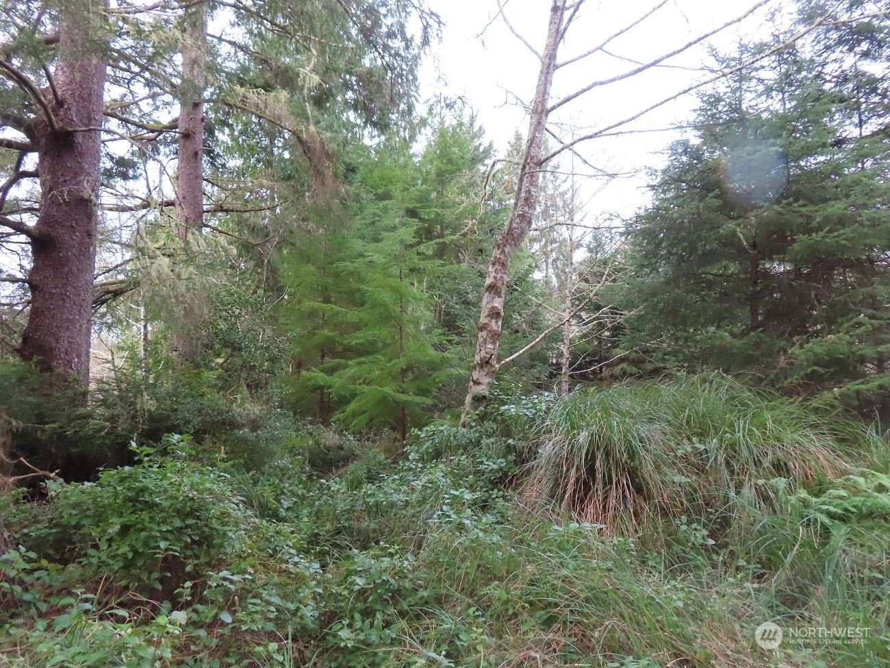 2 Sandridge Road Ocean Park, WA 98640 - Photo 19 of 26 Gallery Image 19