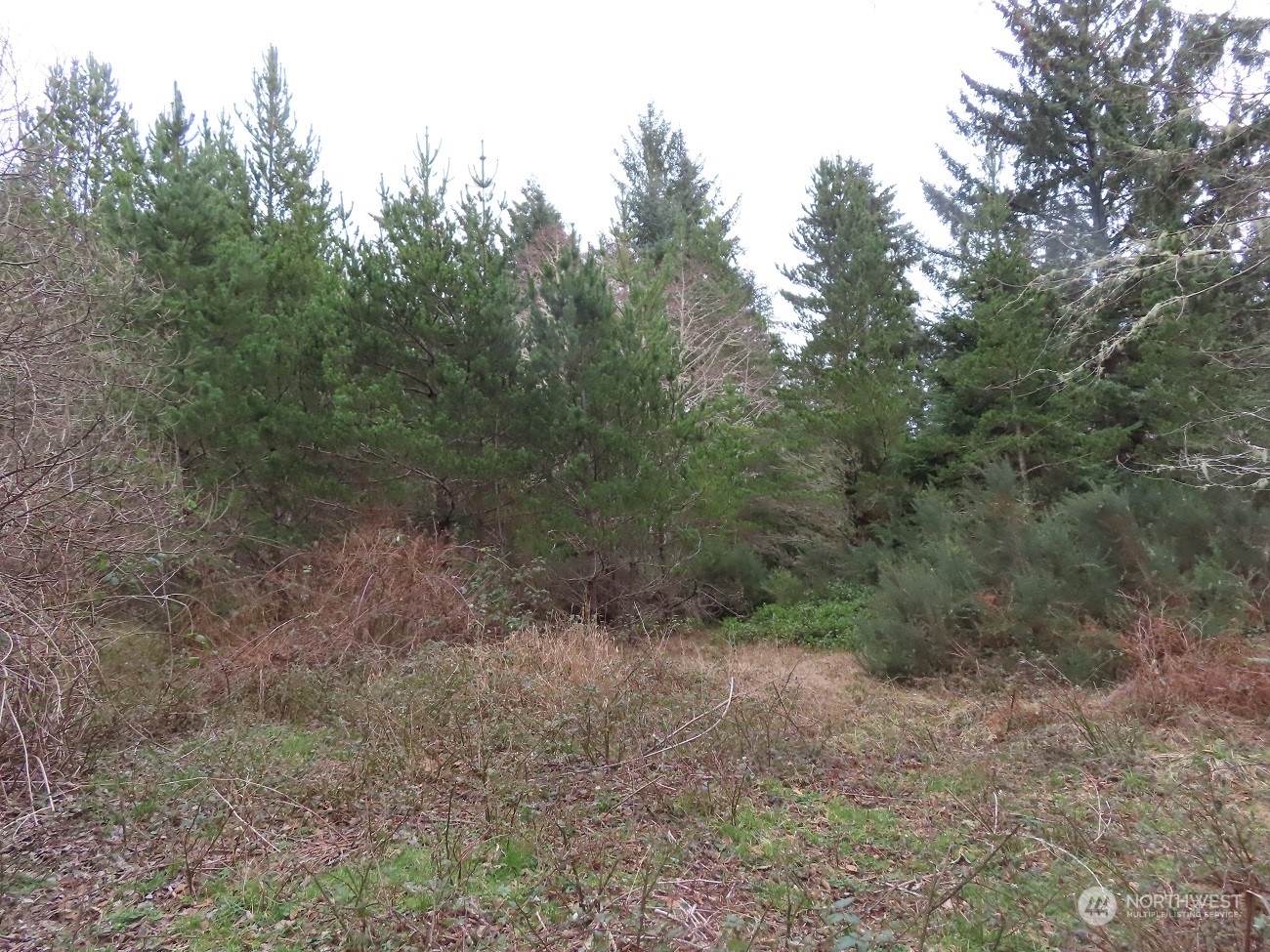 2 Sandridge Road Ocean Park, WA 98640 - Photo 2 of 26 Gallery Image 2