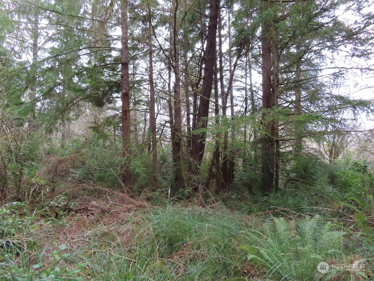 2 Sandridge Road Ocean Park, WA 98640 - Photo 21 of 26 Gallery Image 21