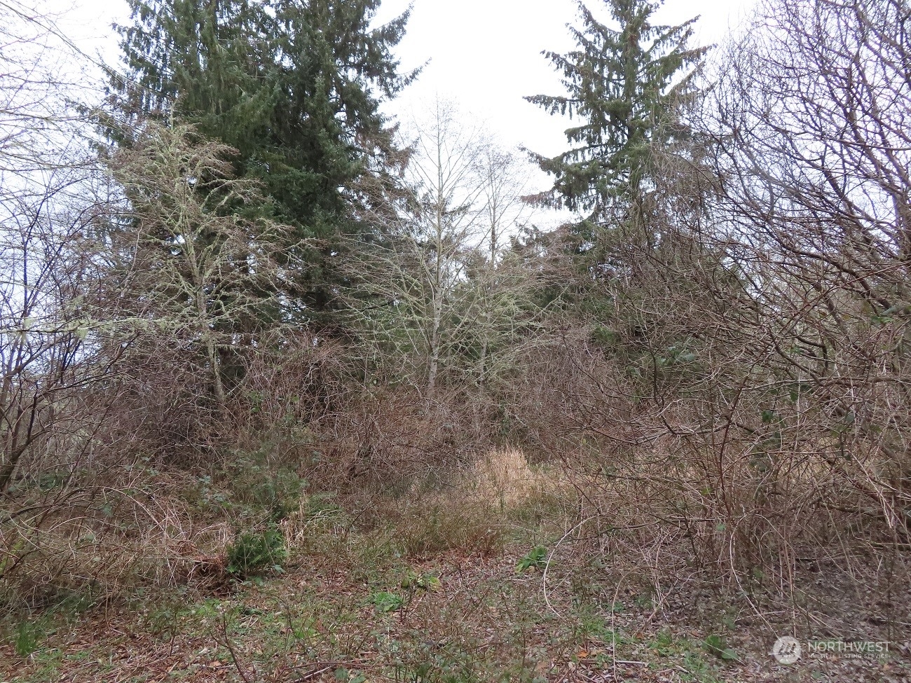 2 Sandridge Road Ocean Park, WA 98640 - Photo 22 of 26 Gallery Image 22