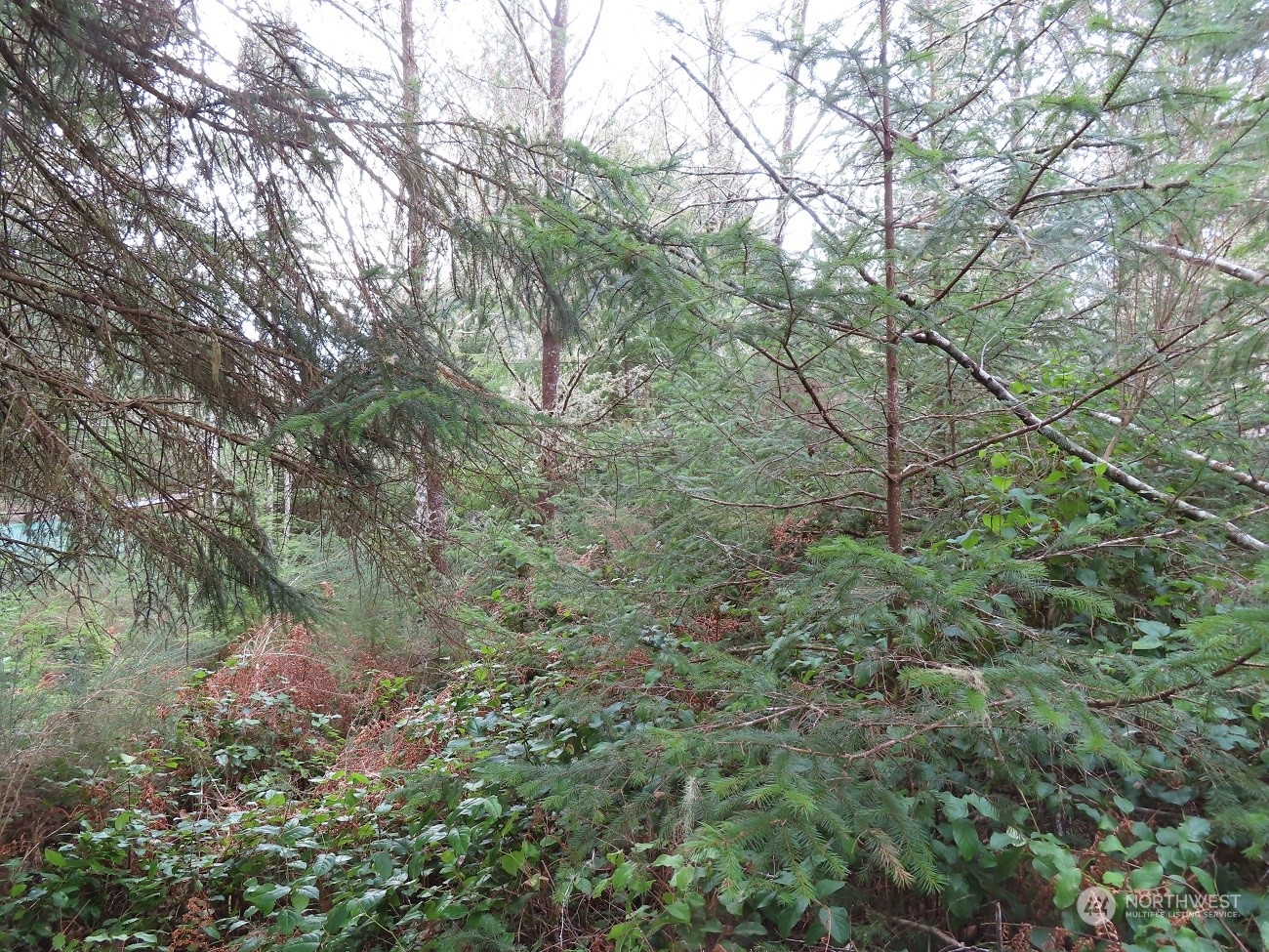 2 Sandridge Road Ocean Park, WA 98640 - Photo 24 of 26 Gallery Image 24