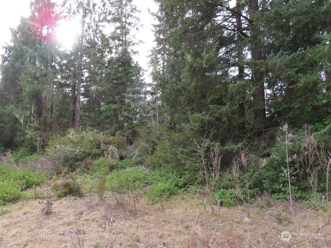 2 Sandridge Road Ocean Park, WA 98640 - Photo 5 of 26 Gallery Image 5