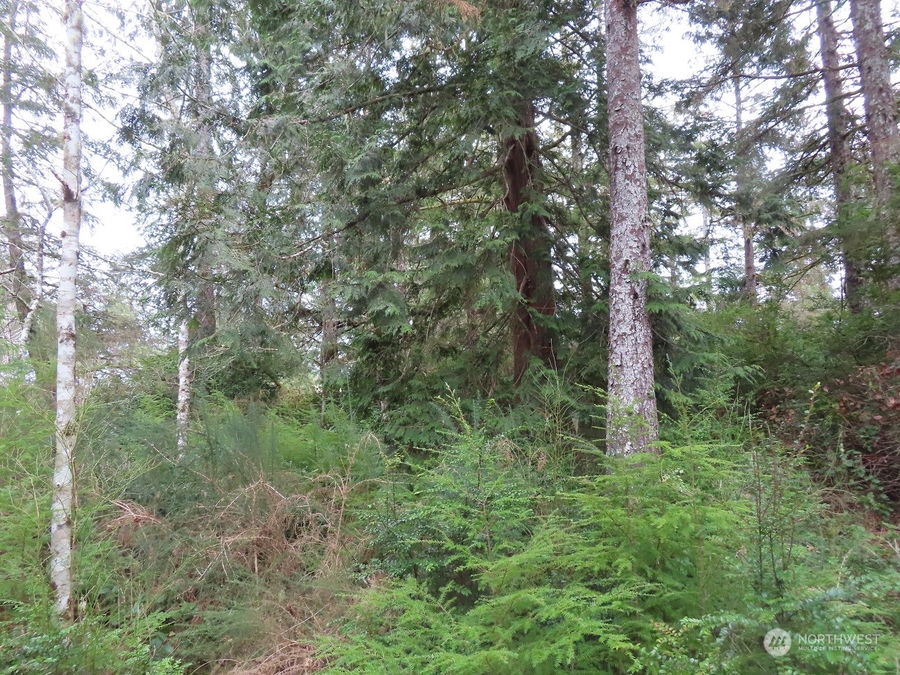 2 Sandridge Road Ocean Park, WA 98640 - Photo 6 of 26 Gallery Image 6