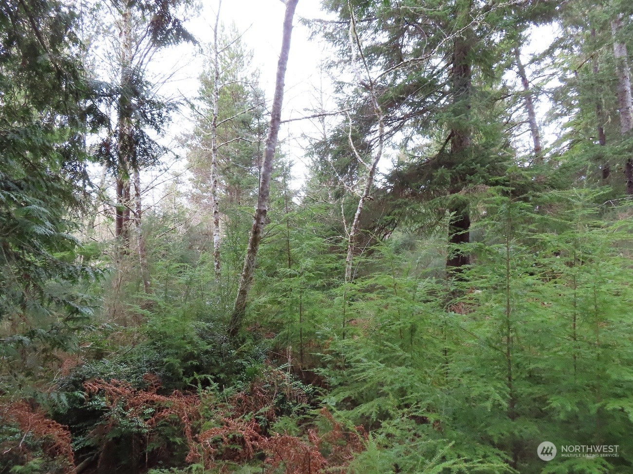2 Sandridge Road Ocean Park, WA 98640 - Photo 7 of 26 Gallery Image 7