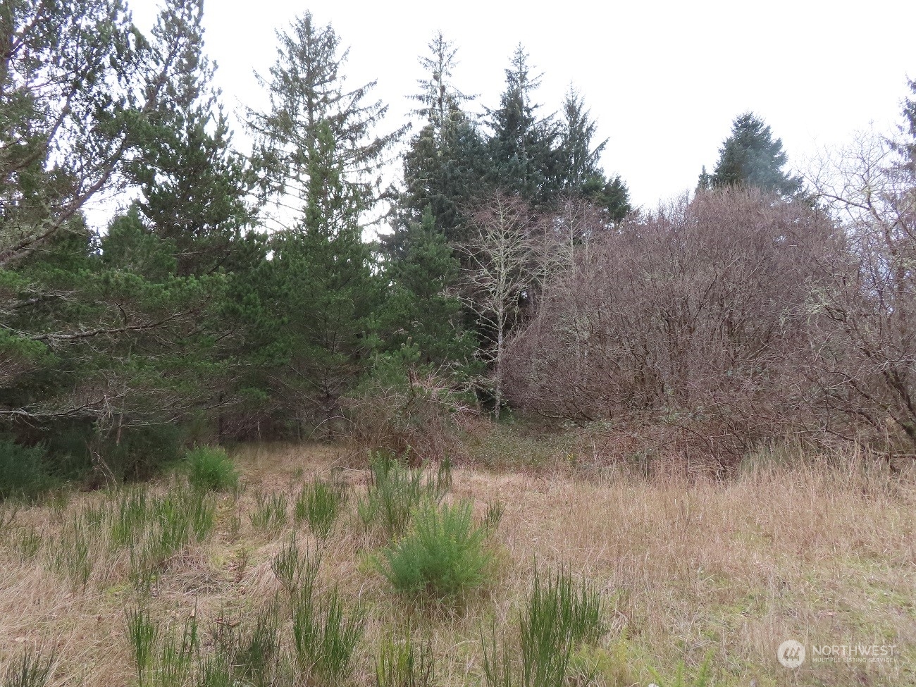 2 Sandridge Road Ocean Park, WA 98640 - Photo 8 of 26 Gallery Image 8