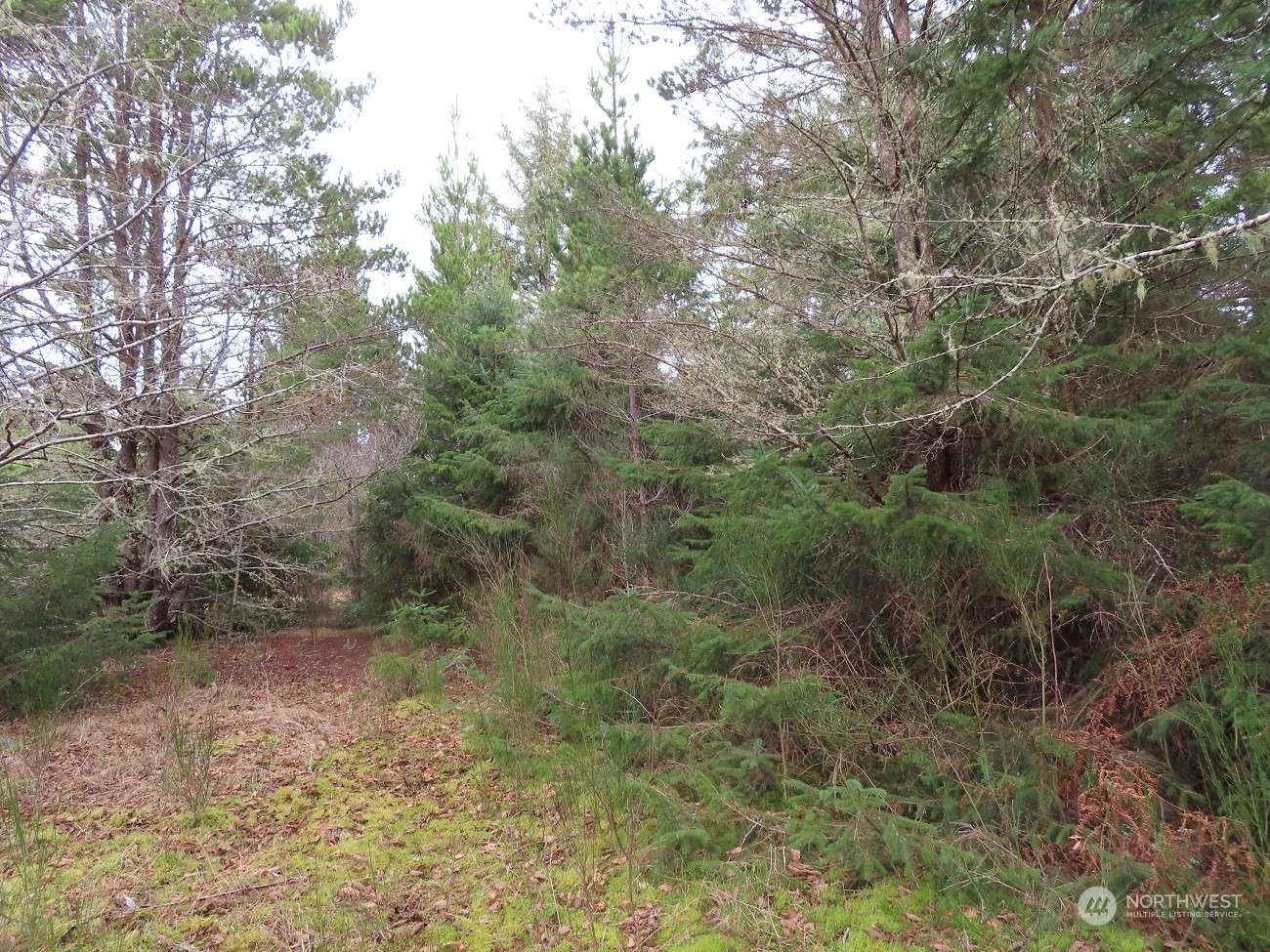 2 Sandridge Road Ocean Park, WA 98640 - Photo 9 of 26 Gallery Image 9