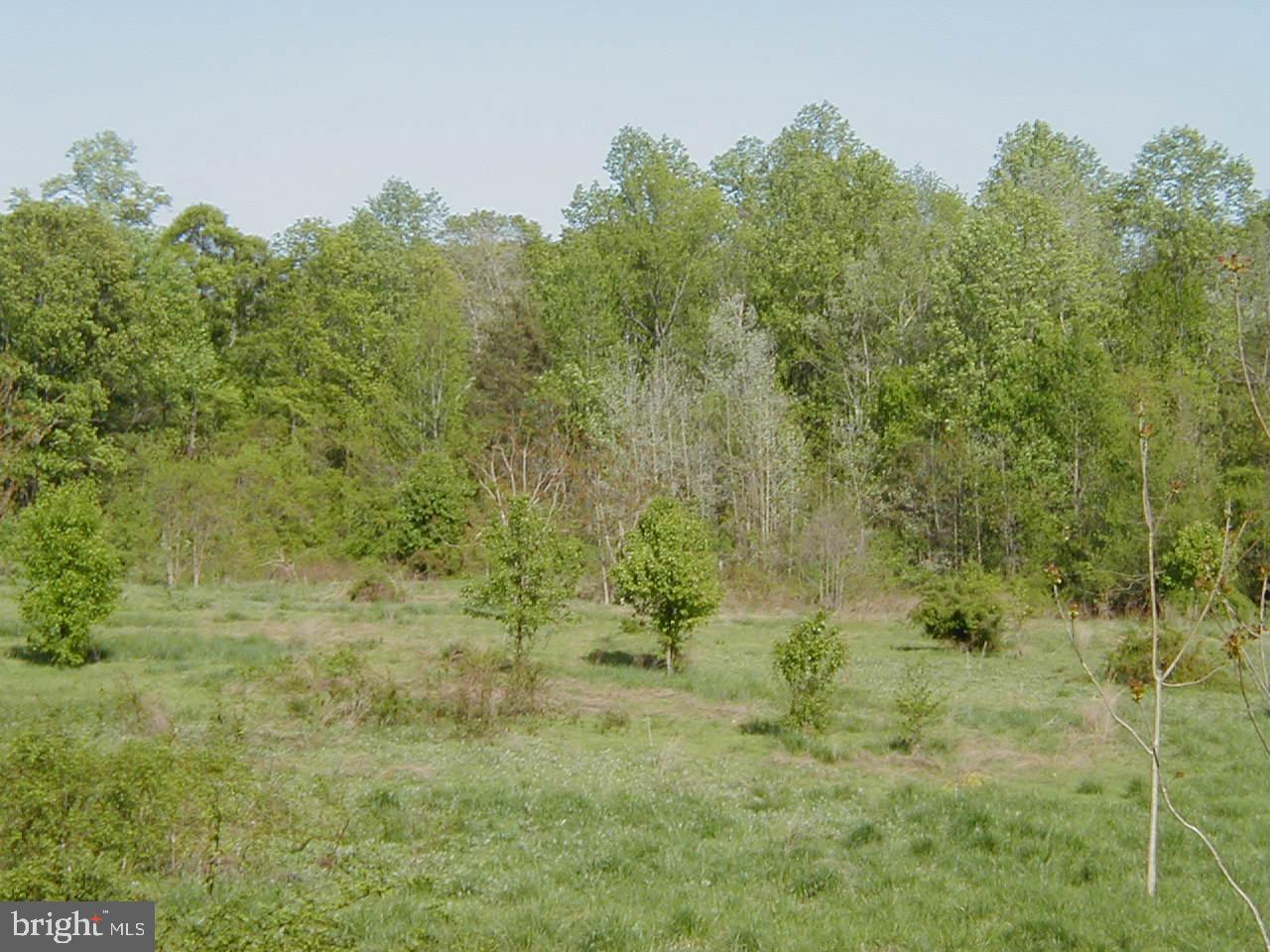 11312 Cross Rd Trail Brandywine, MD 20613 - Photo 8 of 10 Gallery Image 8